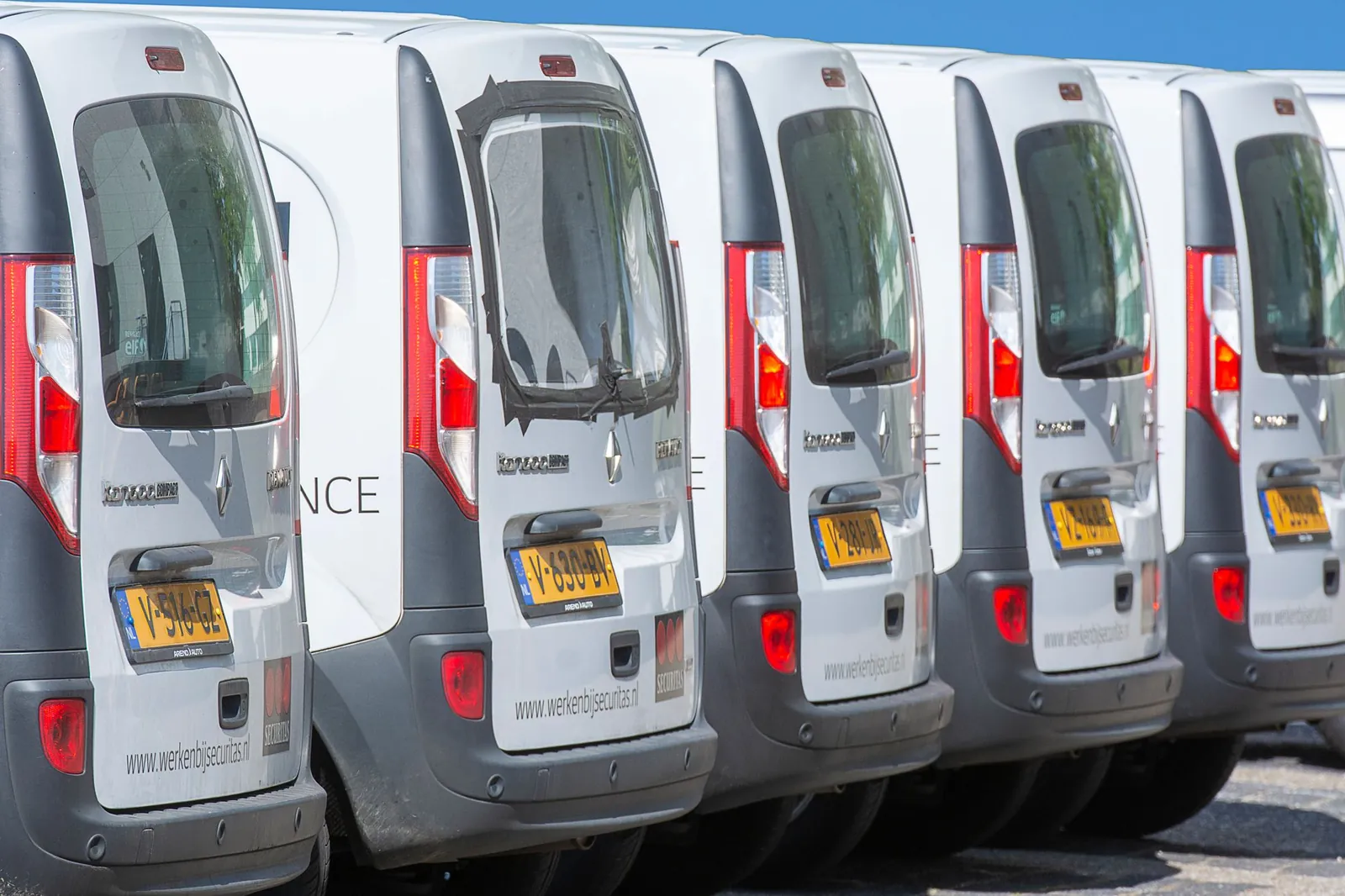 Rij witte bedrijfsbusjes met belettering op de achterdeuren