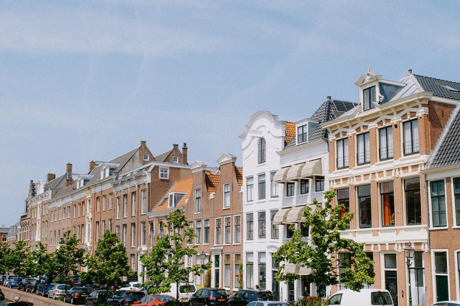 Gracht in Haarlem met gevels en bomen langs het water