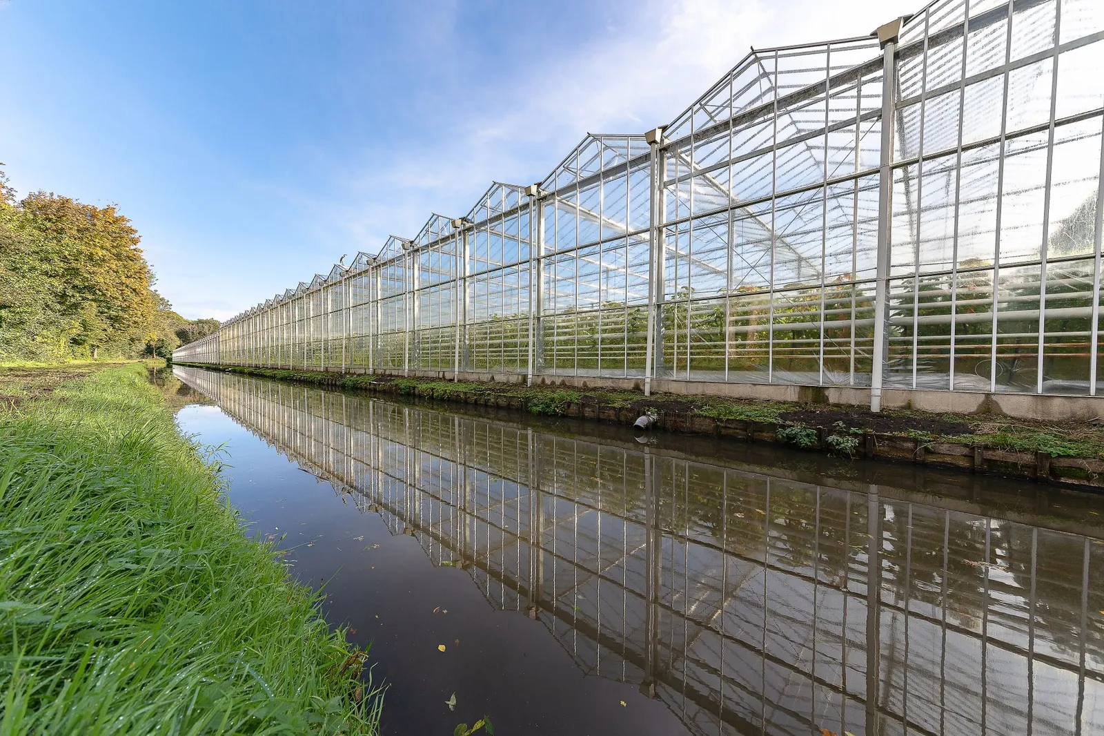Lange rij kassen weerspiegeld in een sloot