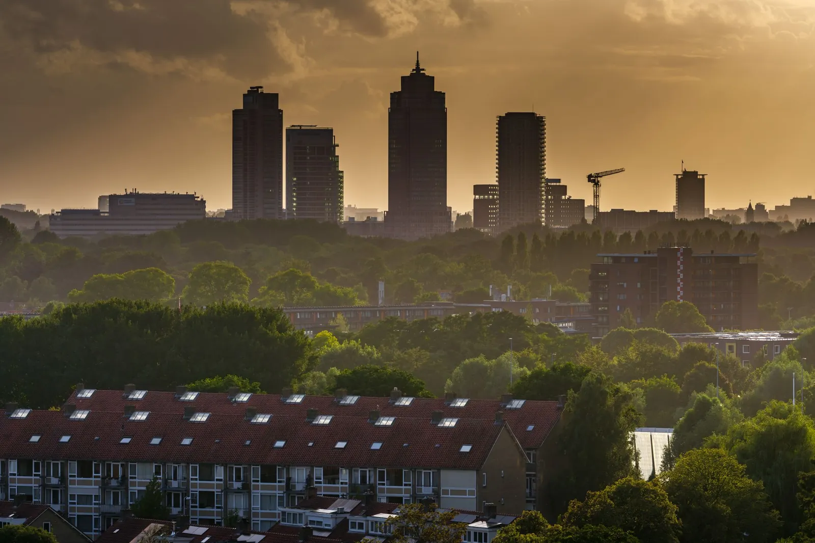 Skyline van de Zuidas in Amsterdam boven de bomen bij zonsondergang