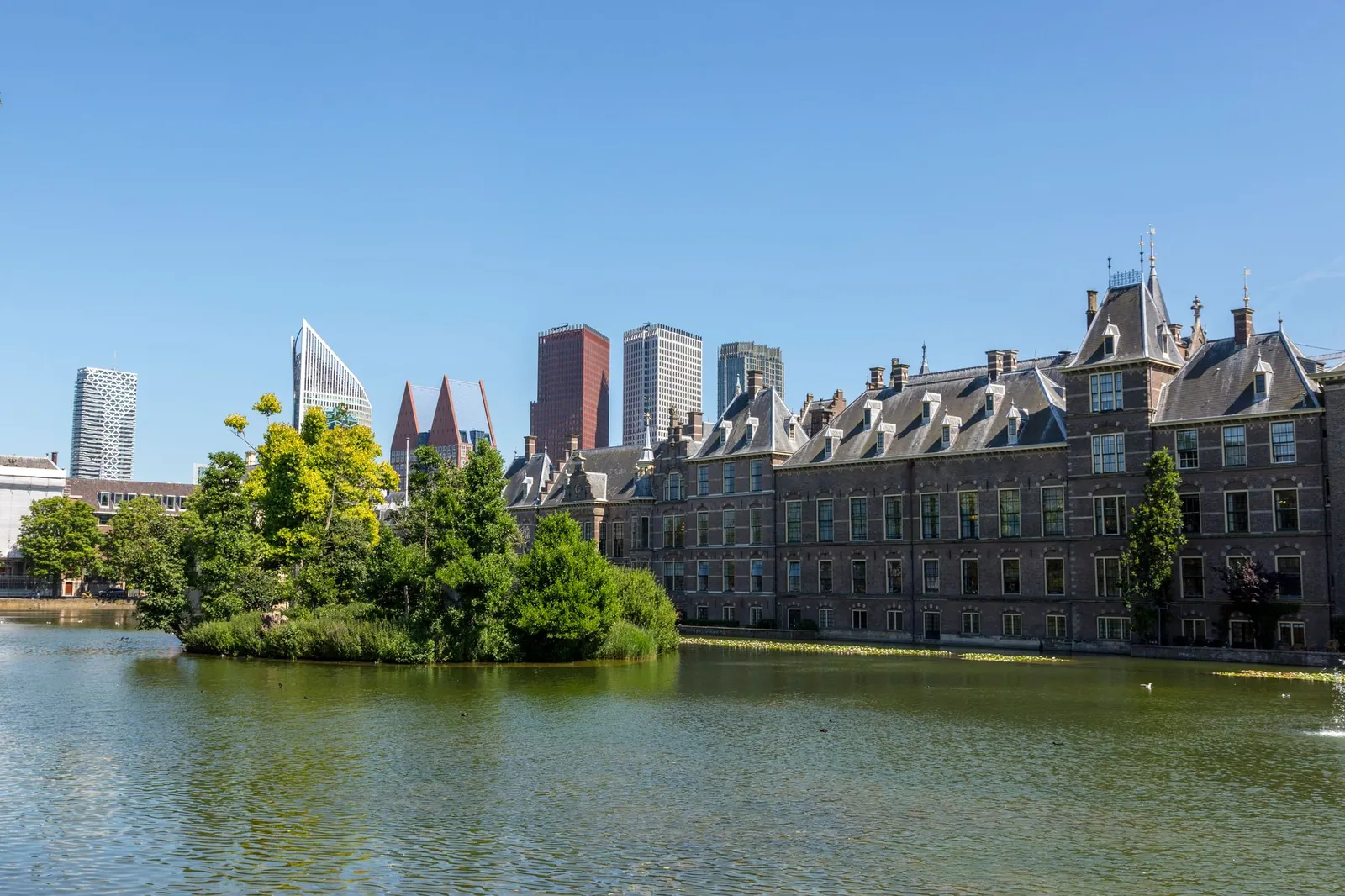 De Hofvijver met het Binnenhof en de torens van het Haagse centrum op de achtergrond