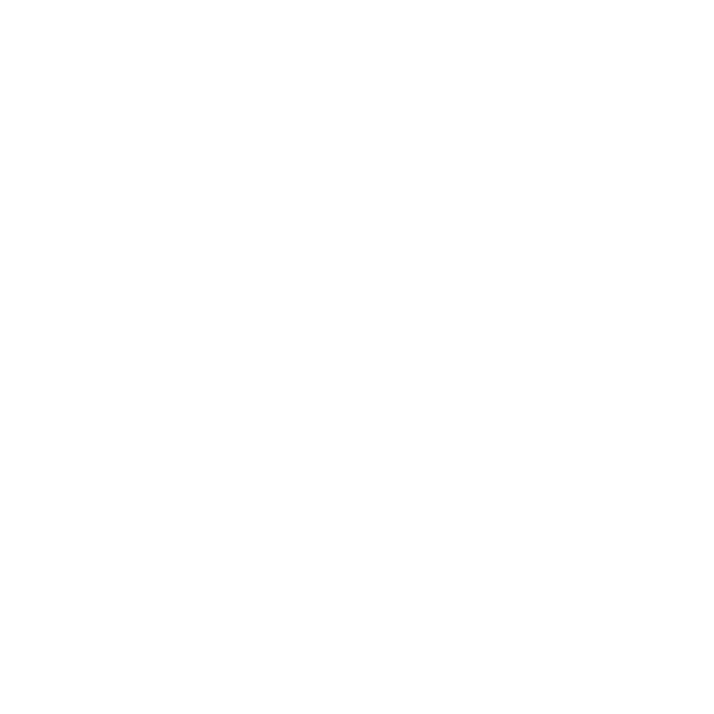 WordPress logotype wmark white